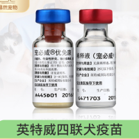 英特威四联疫苗狗狗疫苗4联幼犬犬瘟细小狗育苗荷兰进口防疫针
