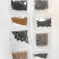 小盆栽花种子籽矮向日葵牵牛凤仙太阳花代发厂家分装小包现货分装