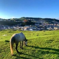 甘南田园农旅体验